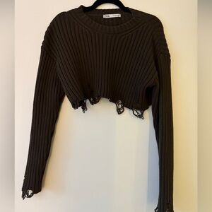Zara Cropped Crewneck Sweater